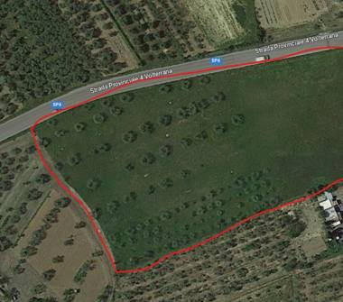 Terreno Agricolo/Coltura in vendita a Gambassi Terme (Firenze)