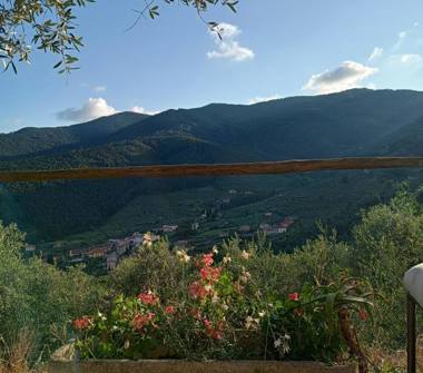 Affitto Rustico/Casale Vacanze a Buti (Pisa)