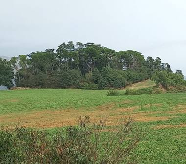 Terreno Edificabile Residenziale in vendita a Anagni, Frazione San Filippo, SP164 1/c