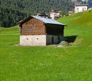 Baita/Chalet/Trullo in vendita a San Pietro di Cadore, Frazione Presenaio, Via Picosta 53