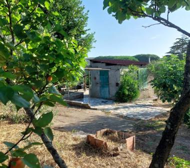 Terreno Agricolo/Coltura in vendita a Piombino (Livorno)