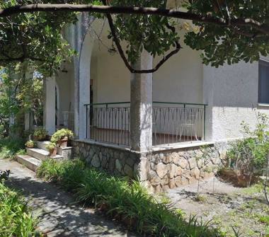 Affitto Villa Vacanze a Cetraro, Frazione Cetraro Marina