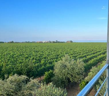 Affitto Stanza Doppia a Cirò Marina (Crotone), Via Torrenova 32