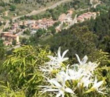 Casa indipendente in vendita a Gairo (Nuoro)