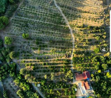 Terreno Agricolo/Coltura in vendita a Condofuri (Reggio Calabria)