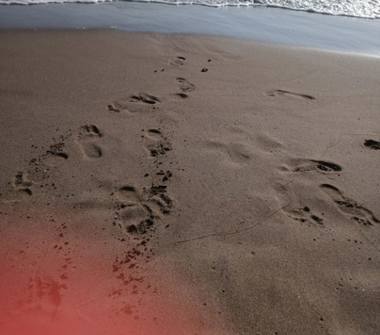 Affitto Appartamento Vacanze a Nettuno (Roma)