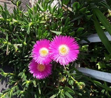 Casa indipendente in vendita a Casaletto Lodigiano, Frazione Mairano