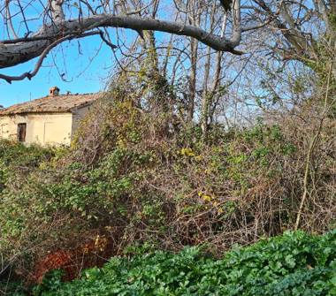 Rustico/Casale in vendita a Pesaro, Frazione Candelara