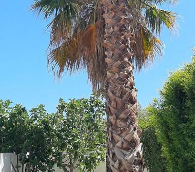 Villa in vendita a Montauro, Frazione Calalunga, Via delle Bianche Ville 10