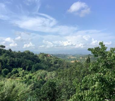 Laboratorio in vendita a Palaia (Pisa), Piazza della Repubblica 40