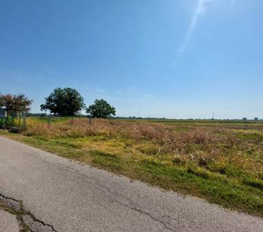 Terreno Agricolo/Coltura in vendita a Cavarzere (Venezia), Località Traversagno 6