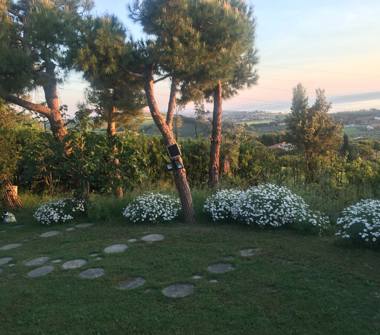 Affitto Appartamento Vacanze a Roseto degli Abruzzi (Teramo)