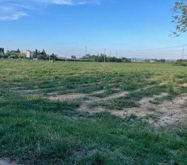 Terreno Agricolo/Coltura in vendita a Monte San Vito, Frazione Borghetto, Via Croce di Guerro 10