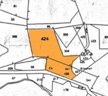 Terreno Agricolo/Coltura in vendita a San Zeno di Montagna (Verona), Strada per Naole 7