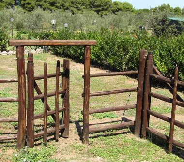 Terreno Agricolo/Coltura in vendita a Orbetello, Frazione Albinia, Strada Provinciale della Giannella 168