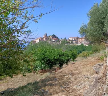 Terreno Agricolo/Coltura in vendita a Belmonte Calabro (Cosenza)