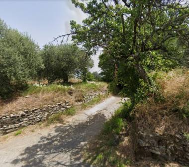 Terreno Agricolo/Coltura in vendita a Serravalle Pistoiese, Frazione Ponte Stella, Via Collina di Vinacciano 18