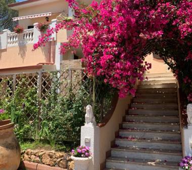 Bilocale in affitto a Iglesias (Sud Sardegna)