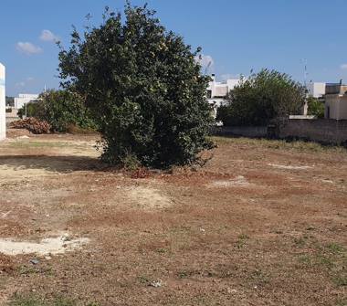Terreno Edificabile Residenziale in vendita a Maruggio, Frazione Campomarino, SP132 42