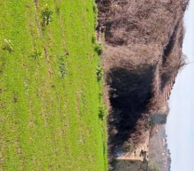 Rustico/Casale in vendita a Massignano (Ascoli Piceno)