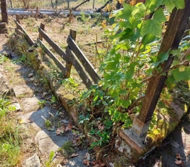 Casa indipendente in vendita a Zeri (Massa-Carrara), Frazione Chiesa 7