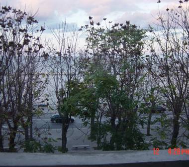 Affitto Stanza Singola a Bari, Zona Madonnella, lungomare Bari 6