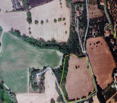 Terreno Agricolo/Coltura in vendita a Ancona, Frazione Frazione Gallignano, Frazione Gallignano 76