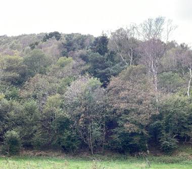 Terreno Agricolo/Coltura in vendita a Sormano, Frazione Pian Del Tivano, Via Piano del Tivano 8