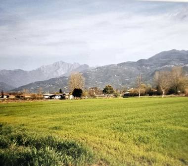 Terreno Agricolo/Coltura in vendita a Pietrasanta (Lucca)