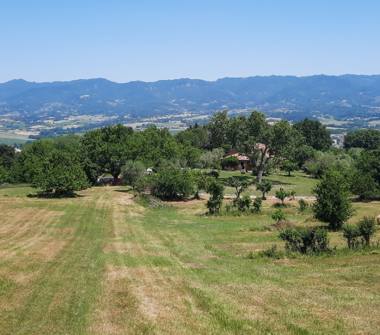 Casa indipendente in vendita a Borgo San Lorenzo (Firenze), località Faltona 28