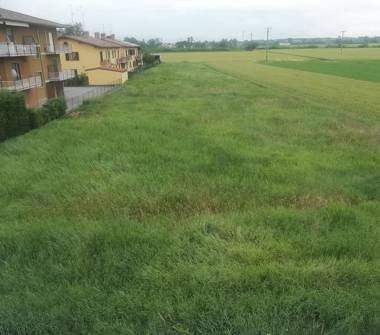 Altro in vendita a Stradella (Pavia)