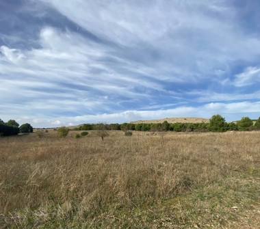 Terreno Agricolo/Coltura in vendita a Altamura (Bari), Via Corato 0