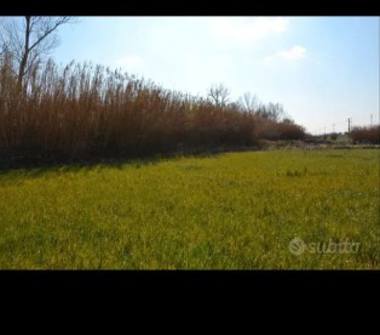 Terreno Agricolo/Coltura in vendita a Tuscania (Viterbo)