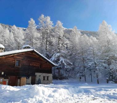 Affitto Baita/Chalet/Trullo Vacanze a Livigno (Sondrio), Via Pont Lonch 320