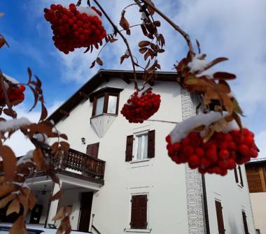 Affitto Appartamento Vacanze a Livigno (Sondrio), Via Plan 321