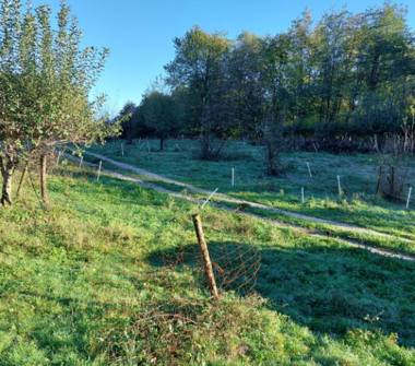 Rustico/Casale in vendita a Crocetta del Montello (Treviso), Via General Vaccari 10