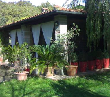 Affitto Villa Vacanze a Manziana (Roma)
