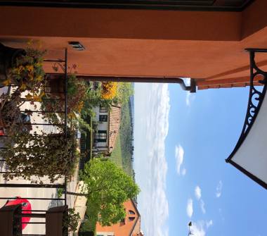 Altro in vendita a Greve in Chianti (Firenze)