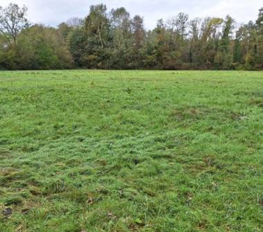 Terreno Agricolo/Coltura in vendita a Anzano del Parco (Como)