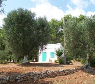 Terreno Agricolo/Coltura in vendita a Ceglie Messapica (Brindisi)