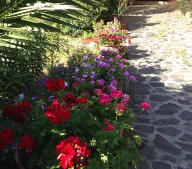 Affitto Appartamento Vacanze a Olbia, Frazione Pittulongu