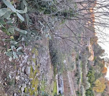 Terreno Agricolo/Coltura in vendita a Modica, Frazione Marina Di Modica