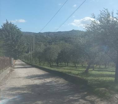 Terreno Agricolo/Coltura in vendita a San Martino Valle Caudina (Avellino), Via Tinci 10