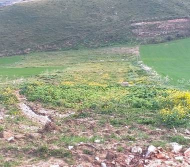Terreno Agricolo/Coltura in vendita a Castellammare del Golfo, Frazione Scopello