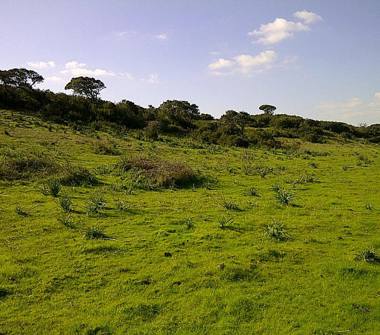 Terreno Edificabile Residenziale in vendita a Alghero, Frazione Surigheddu
