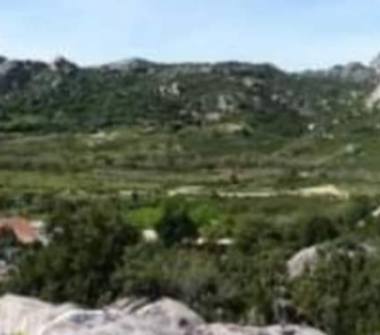 Terreno Agricolo/Coltura in vendita a Arzachena (Sassari)