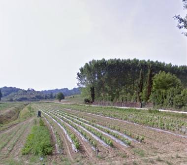 Terreno Agricolo/Coltura in vendita a Casciana Terme Lari (Pisa), Via Pisinacchio