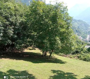 Terreno Agricolo/Coltura in vendita a Malegno (Brescia)