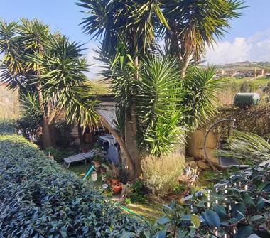 Trilocale in vendita a Santa Marinella (Roma)