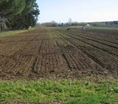 Terreno Agricolo/Coltura in vendita a Eboli, Frazione Bivio Di Santa Cecilia, Viale della MARINA 33